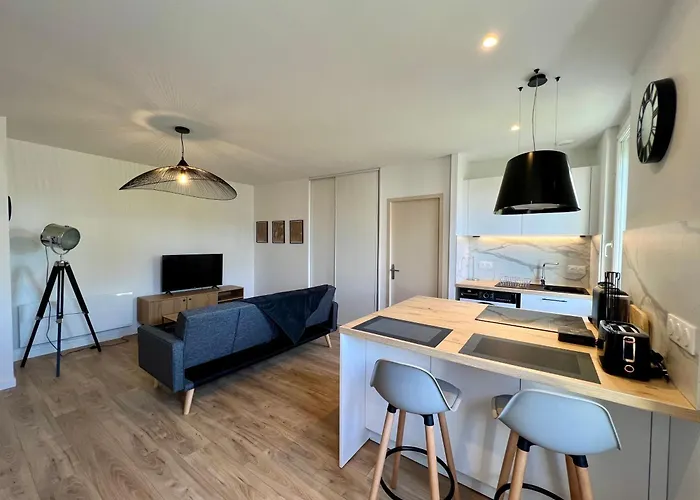 Appartement T2 Hyper Centre De Denis De Pile *